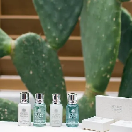 Aba ηospitalite Paros Apartment Naousa (Paros)